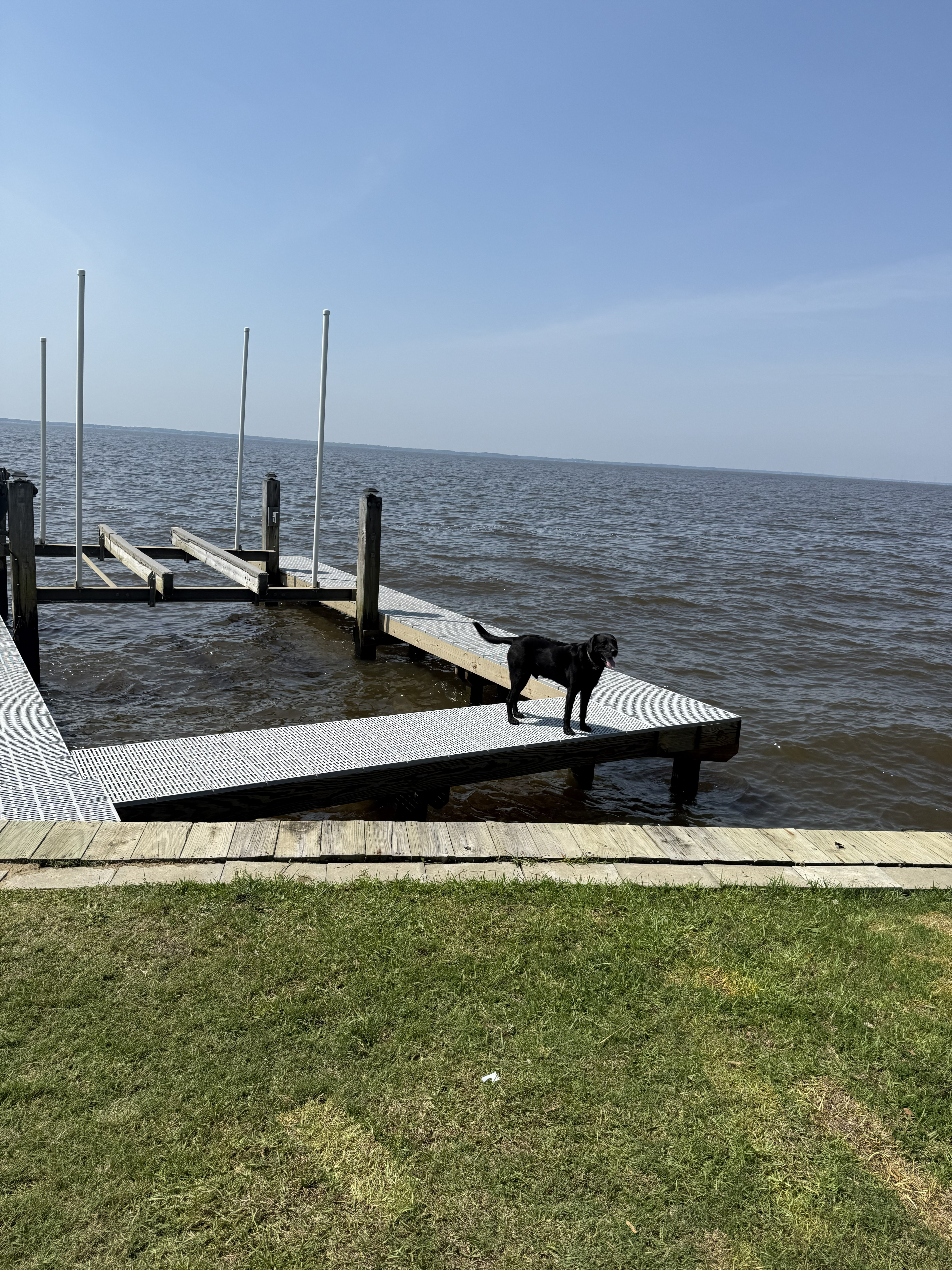 Beautiful pier with site dog